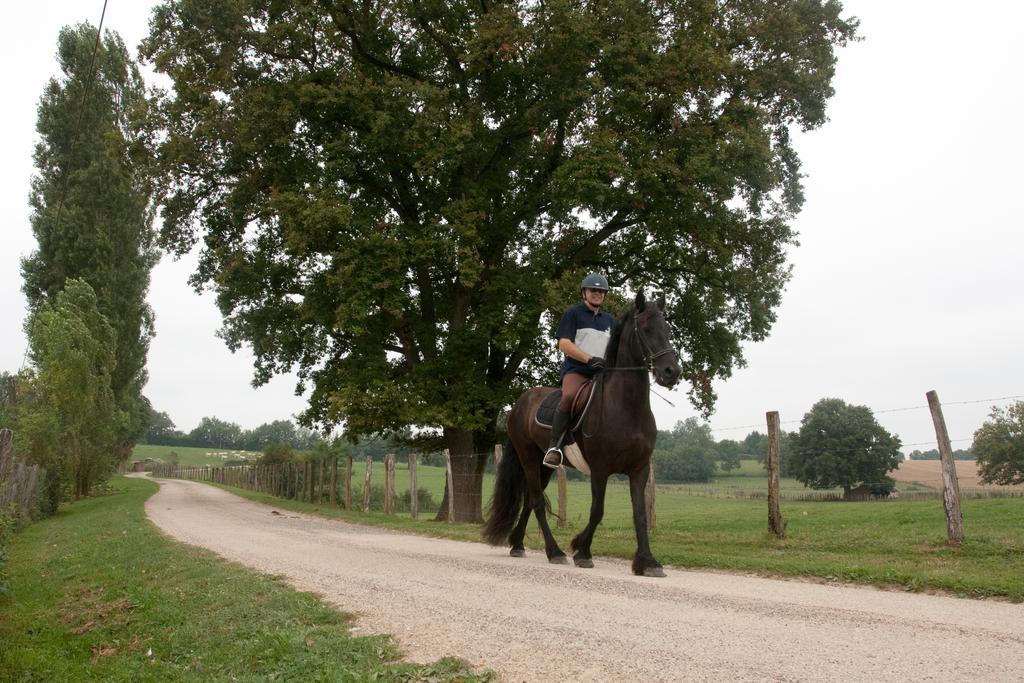 Вілла Ferme De Montalibord Vescours Екстер'єр фото